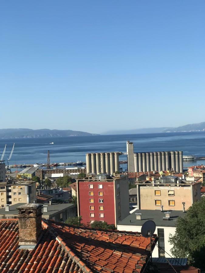 Appartement Apartman Vidi à Rijeka Extérieur photo