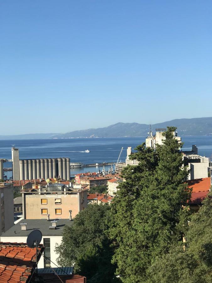 Appartement Apartman Vidi à Rijeka Extérieur photo