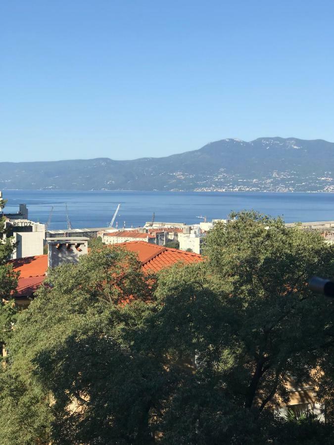 Appartement Apartman Vidi à Rijeka Extérieur photo